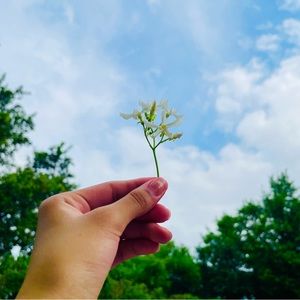 Meet your Posher, Janette